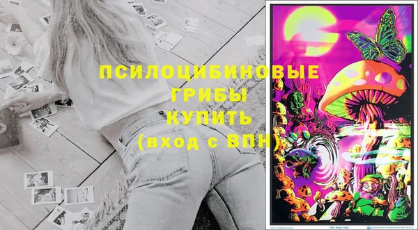 соль курить ск Нязепетровск