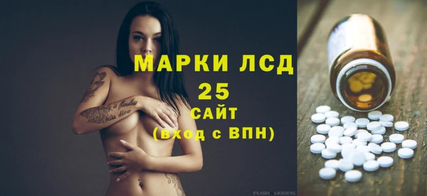 спайс Няндома