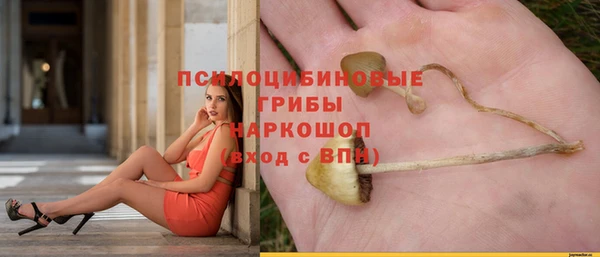 соль курить ск Нязепетровск