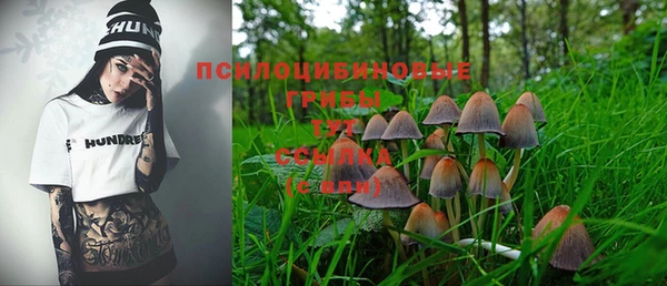 соль курить ск Нязепетровск