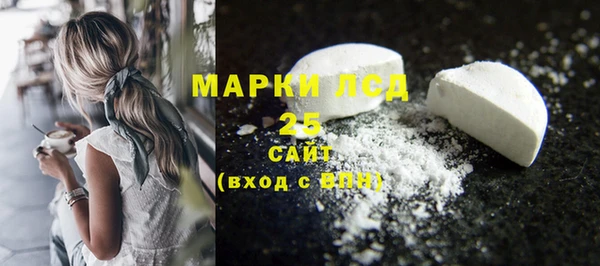 спайс Няндома