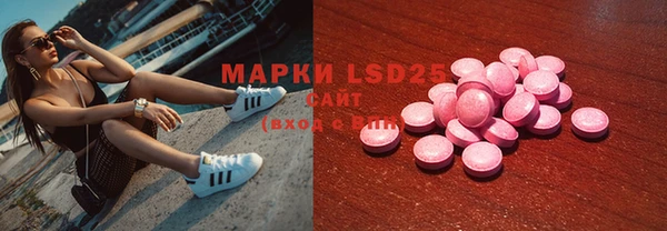 спайс Няндома
