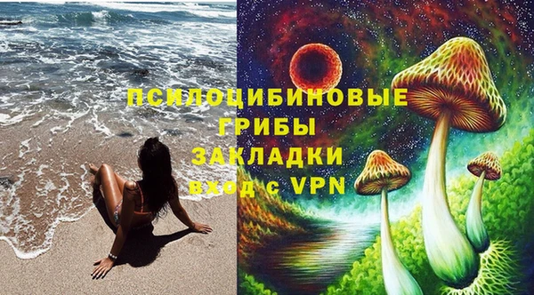 спайс Няндома