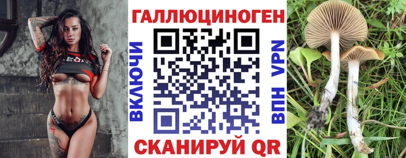 Галлюциногенные грибы Cubensis  Купить где  Лодейное Поле 